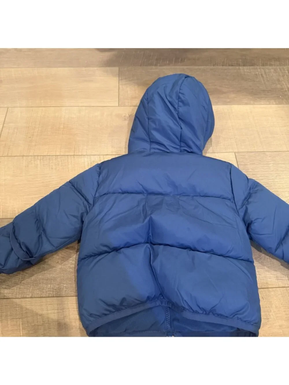 Swisstech Boys Hooded Blue Jacket Coat Size 18 Month